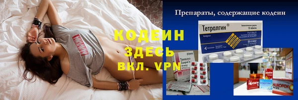 хмурый Алексин