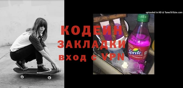 хмурый Алексин
