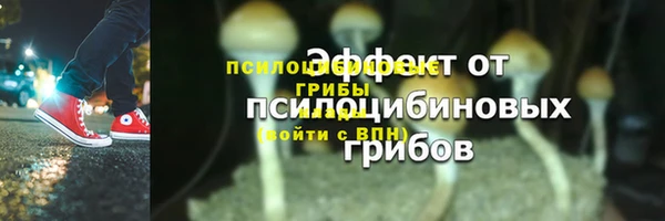 дурь Козловка
