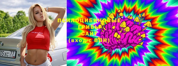 хмурый Алексин