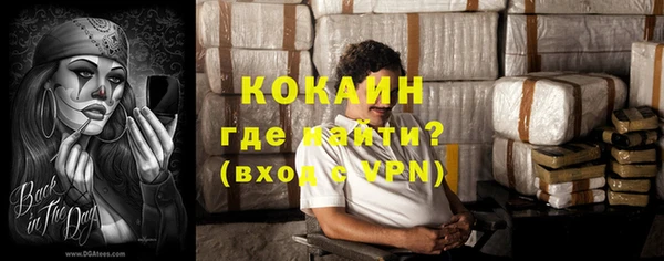 хмурый Алексин