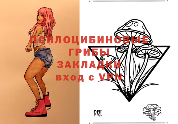 хмурый Алексин